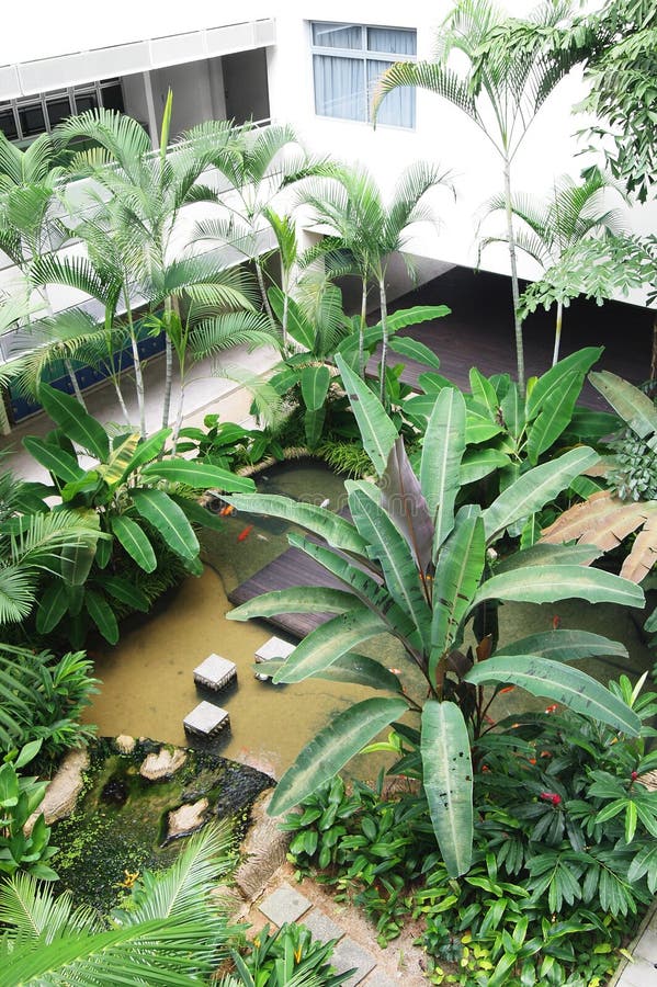 School and office buildings courtyard landscaping design - A photograph showing the natural style landscaped garden in the court yard of a high school in the tropical country of Singapore. Design with koi fish pond, palm trees, colorful flowering shrubs and other greenery. Landscaping also used as ecological scientific garden for students to learn about science, biology and ecology. Vertical format, nobody in picture. Modern landscape architecture concept for offices buildings in town and city central business district; small open spaces between buildings; greening of space which is easy to maintain. School and office buildings courtyard landscaping design - A photograph showing the natural style landscaped garden in the court yard of a high school in the tropical country of Singapore. Design with koi fish pond, palm trees, colorful flowering shrubs and other greenery. Landscaping also used as ecological scientific garden for students to learn about science, biology and ecology. Vertical format, nobody in picture. Modern landscape architecture concept for offices buildings in town and city central business district; small open spaces between buildings; greening of space which is easy to maintain.