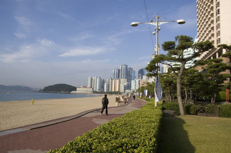 Het moderne strand busan Korea van architectuurhaeundae royalty-vrije stock foto Het moderne strand busan Korea van architectuurhaeundae royalty-vrije stock foto