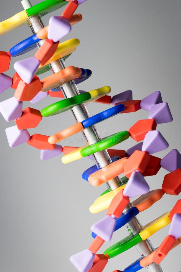 Het moleculaire, model van DNA en van het atoom in het laboratorium van het wetenschapsonderzoek stock foto's Het moleculaire, model van DNA en van het atoom in het laboratorium van het wetenschapsonderzoek stock foto's