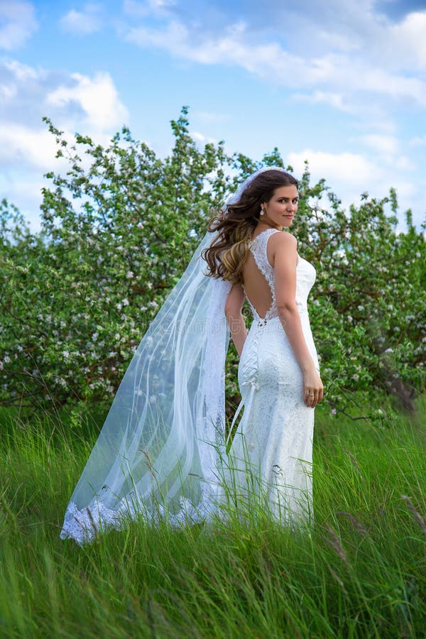 Het mooie bruid stellen dichtbij bloeiende appelboom royalty-vrije stock foto Het mooie bruid stellen dichtbij bloeiende appelboom royalty-vrije stock foto