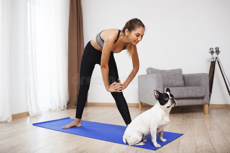 Het mooie fitness meisje maakt sportoefeningen met hond royalty-vrije stock afbeelding Het mooie fitness meisje maakt sportoefeningen met hond royalty-vrije stock afbeelding