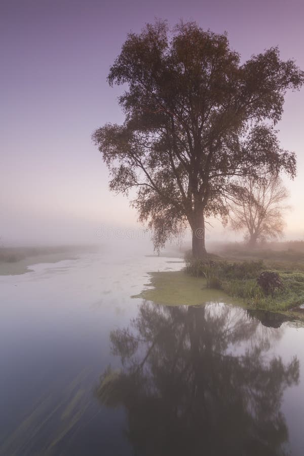 Het mooie landschap van de ochtendmist dichtbij een rivier