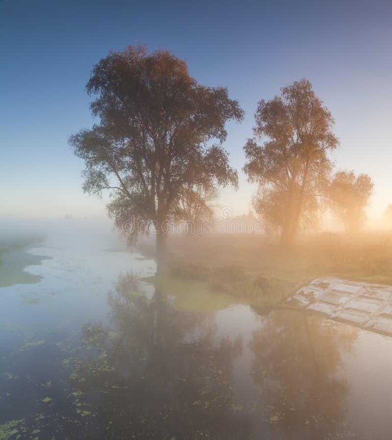 Het mooie landschap van de ochtendmist dichtbij een rivier