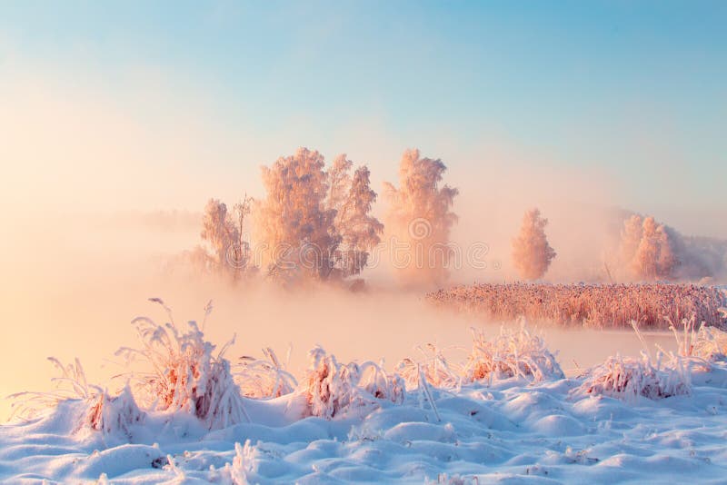 Het mooie landschap van de de winterochtend Lange ijzige die bomen met vorst op rivieroever worden behandeld royalty-vrije stock afbeeldingen Het mooie landschap van de de winterochtend Lange ijzige die bomen met vorst op rivieroever worden behandeld royalty-vrije stock afbeeldingen