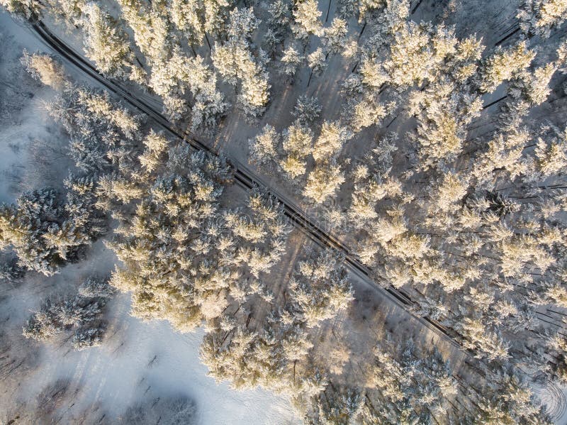 Het mooie satellietbeeld van sneeuw behandelde pijnboombossen en een weg die onder bomen winden Rijpijs en hoar vorst die bomen b royalty-vrije stock afbeelding Het mooie satellietbeeld van sneeuw behandelde pijnboombossen en een weg die onder bomen winden Rijpijs en hoar vorst die bomen b royalty-vrije stock afbeelding