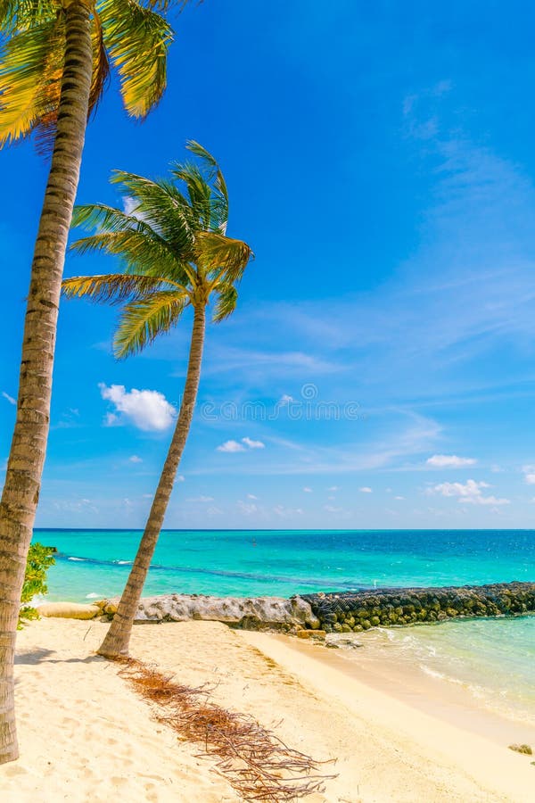 Het mooie tropische eiland van de Maldiven, witte zandige strand en overzees w stock foto Het mooie tropische eiland van de Maldiven, witte zandige strand en overzees w stock foto