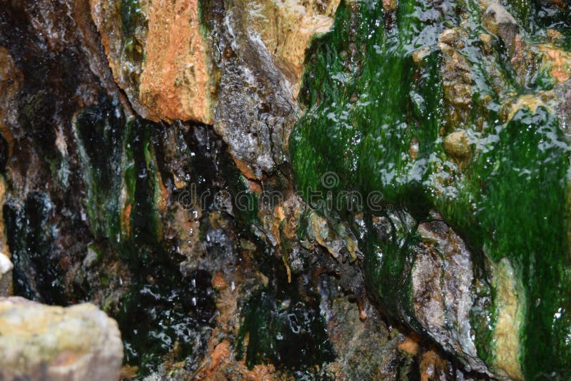 Het mos van het zwavelwater op de rots stock fotografie Het mos van het zwavelwater op de rots stock fotografie
