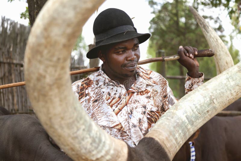 HET MUSEUM WATUSİ, RWANDA, AFRİCA VAN ANKOLE - 8 SEPTEMBER, 2015: Niet geïdentificeerde mens stock foto's HET MUSEUM WATUSİ, RWANDA, AFRİCA VAN ANKOLE - 8 SEPTEMBER, 2015: Niet geïdentificeerde mens stock foto's