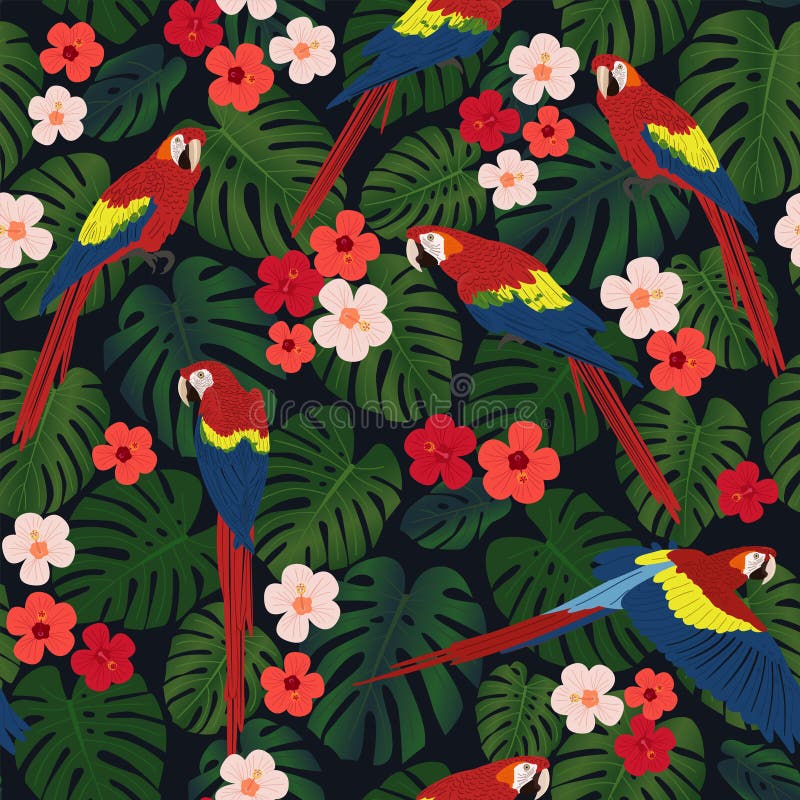 Het naadloze tropische patroon, Chinese monsterabladeren, nam bloemen, rode aronskelkenpapegaaien op een zwarte achtergrond toe royalty-vrije illustratie Het naadloze tropische patroon, Chinese monsterabladeren, nam bloemen, rode aronskelkenpapegaaien op een zwarte achtergrond toe royalty-vrije illustratie