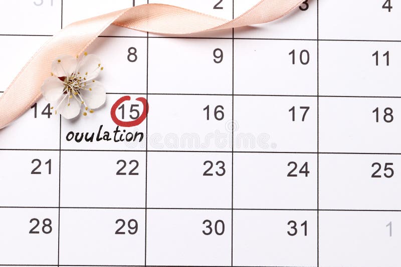 Het omcirkelen van de datum Planning van zwangerschapskalender stock foto's Het omcirkelen van de datum Planning van zwangerschapskalender stock foto's