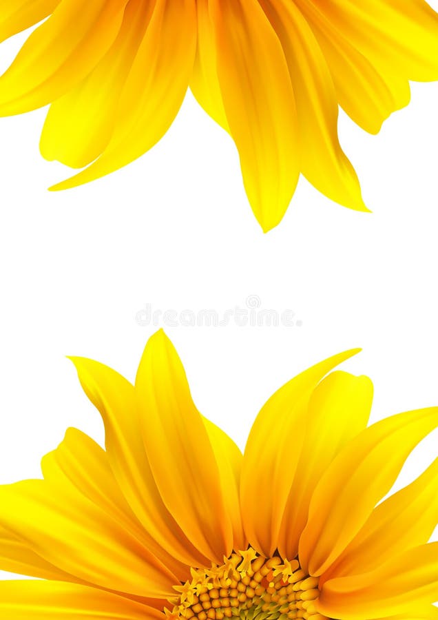 Brochure layout flower vector design. Brochure layout flower vector design