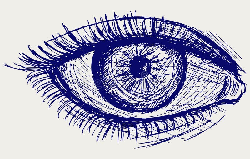 Het oog van de vrouw stock illustratie Het oog van de vrouw stock illustratie