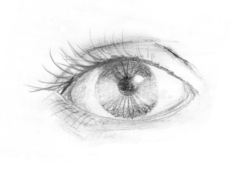 Het oog van de vrouw vector illustratie Het oog van de vrouw vector illustratie