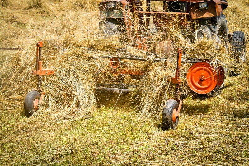 Het oogsten stock foto's Het oogsten stock foto's