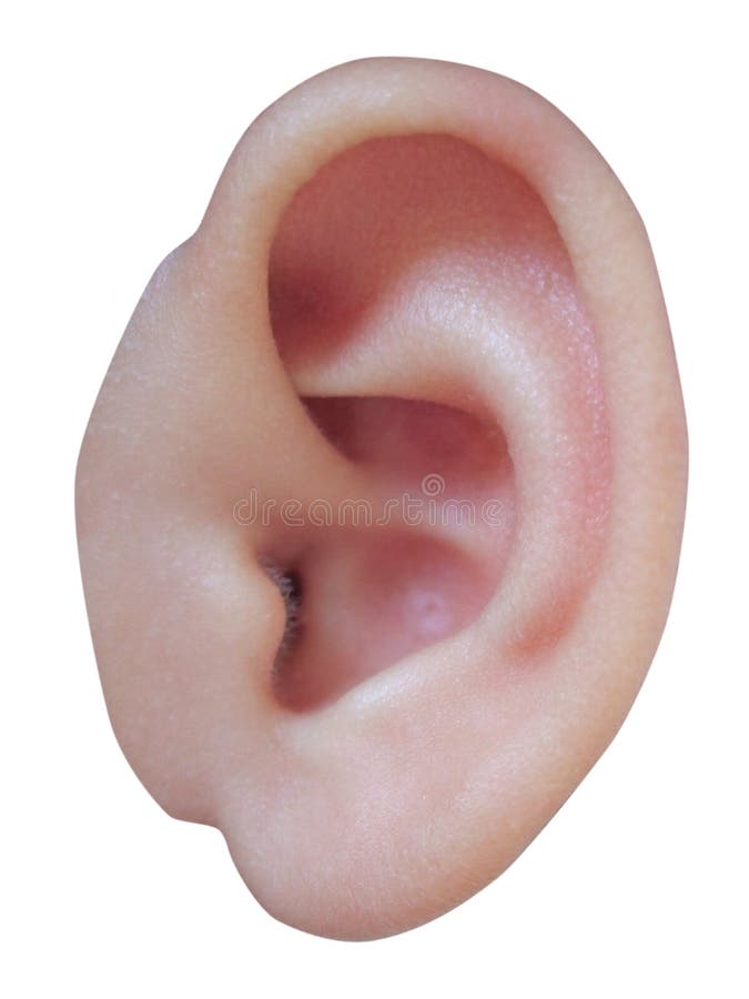 Het oor van de baby