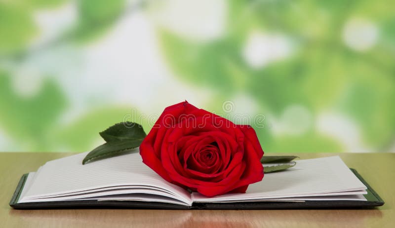 Het open boek met een rood nam toe royalty-vrije stock afbeelding Het open boek met een rood nam toe royalty-vrije stock afbeelding