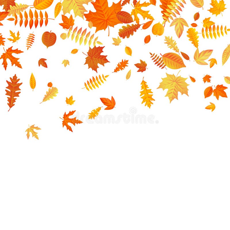 Het oranje en gele dalende malplaatje van de herfstbladeren Eps 10 stock illustratie Het oranje en gele dalende malplaatje van de herfstbladeren Eps 10 stock illustratie