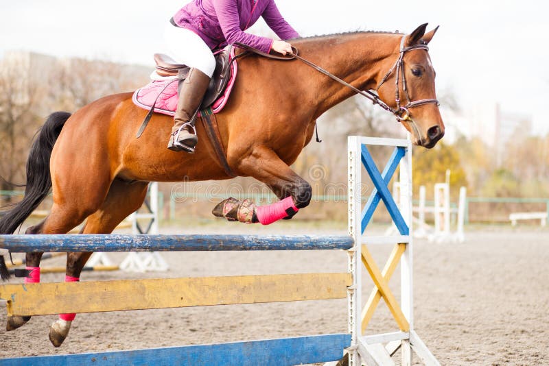 Het paard met ruitersprong over hindernis op toont het springen stock foto Het paard met ruitersprong over hindernis op toont het springen stock foto