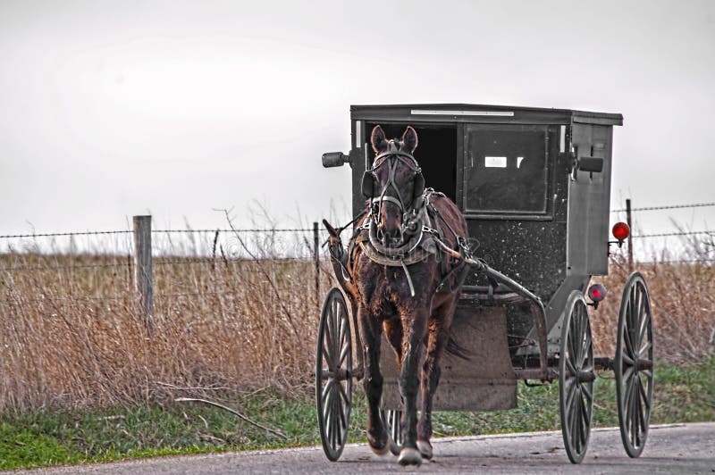 Het paard van Amish en met fouten royalty-vrije stock fotografie Het paard van Amish en met fouten royalty-vrije stock fotografie