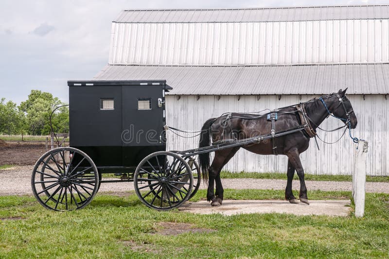 Het paard van Amish en met fouten stock foto Het paard van Amish en met fouten stock foto
