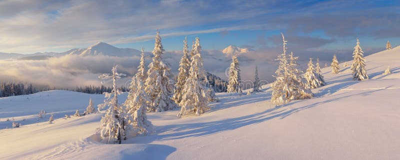 Het panorama van de winter royalty-vrije stock foto Het panorama van de winter royalty-vrije stock foto
