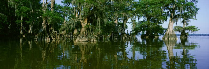 Het Park van de Staat van Fausse Pointe van het meer royalty-vrije stock fotografie Het Park van de Staat van Fausse Pointe van het meer royalty-vrije stock fotografie
