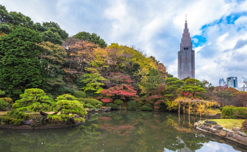 Het Park van Shinjukugyoen in de herfst, Tokyo, Japan royalty-vrije stock fotografie Het Park van Shinjukugyoen in de herfst, Tokyo, Japan royalty-vrije stock fotografie