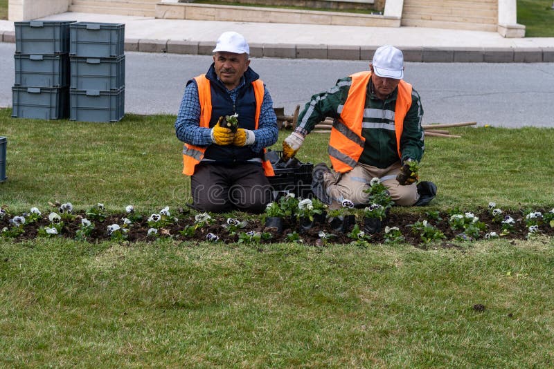 Het planten van bloemen aan stad stock foto's Het planten van bloemen aan stad stock foto's