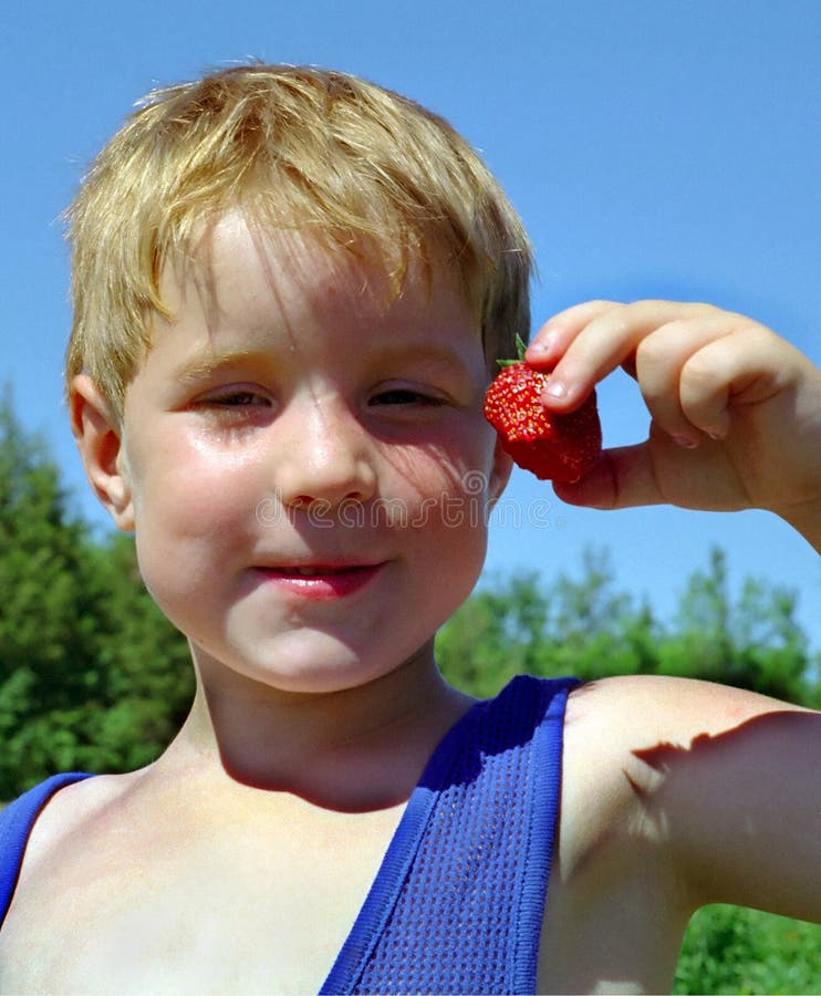 Boy enjoys a strawberry on his farm. Boy enjoys a strawberry on his farm.