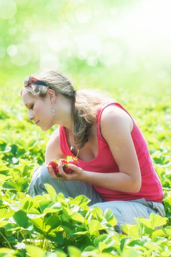 Girl picking sweetness strawberries in summer. Girl picking sweetness strawberries in summer