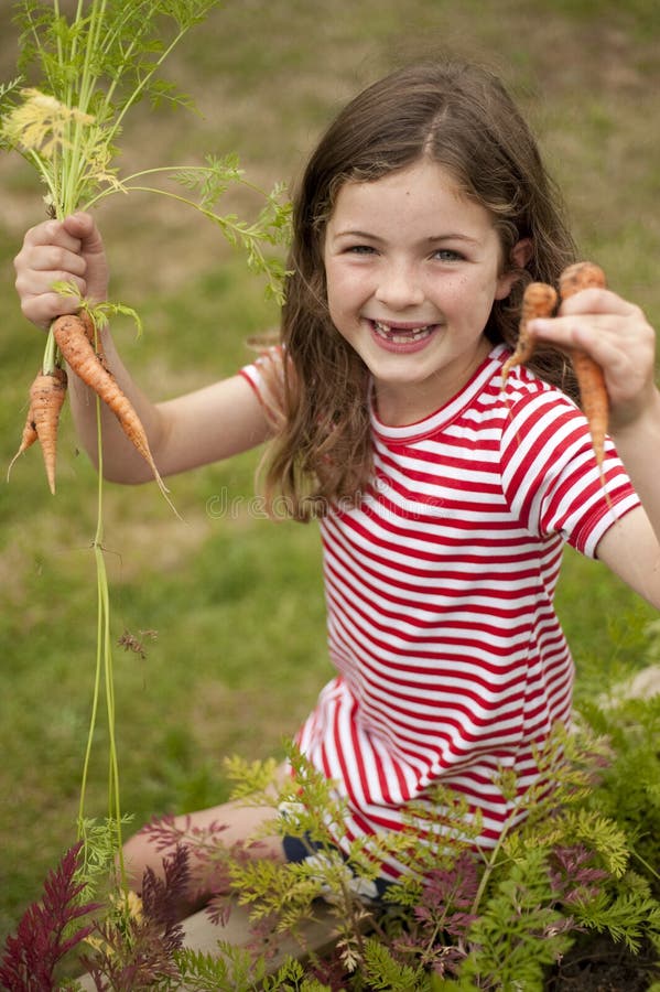 Little girl (7 years old) picking carrots out of vegetable garden. Little girl (7 years old) picking carrots out of vegetable garden