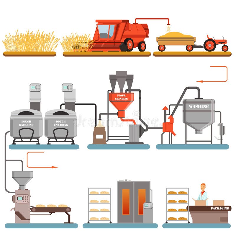 Het processtadia van de broodproductie van tarweoogst aan vers gebakken brood vectorillustraties royalty-vrije illustratie Het processtadia van de broodproductie van tarweoogst aan vers gebakken brood vectorillustraties royalty-vrije illustratie