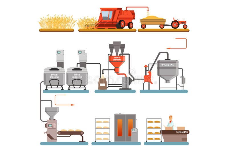 Het processtadia van de broodproductie van tarweoogst aan vers gebakken brood vectorillustraties royalty-vrije illustratie Het processtadia van de broodproductie van tarweoogst aan vers gebakken brood vectorillustraties royalty-vrije illustratie