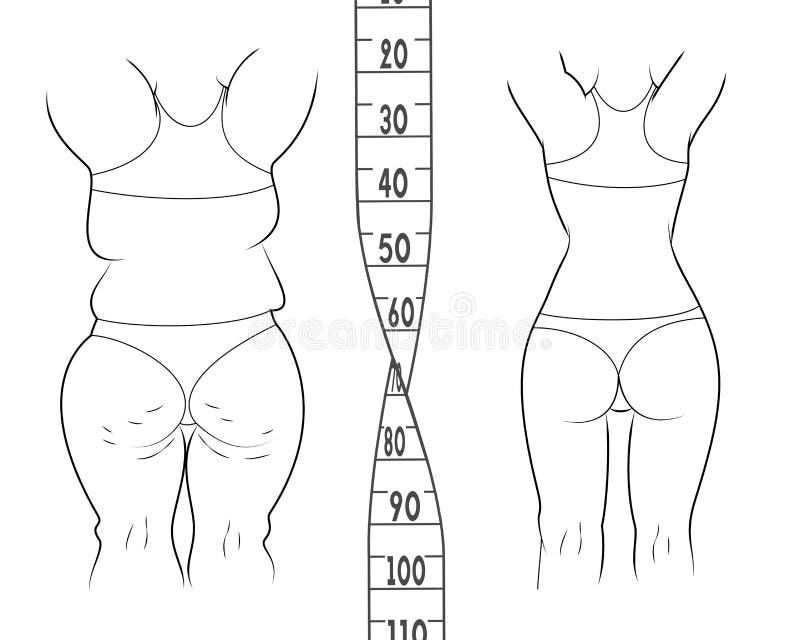 Het resultaat before and after een dieet Vette en slanke vrouw stock illustratie Het resultaat before and after een dieet Vette en slanke vrouw stock illustratie