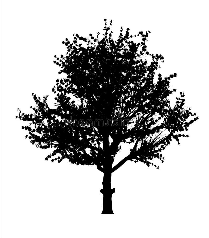 Het rode silhouet van de appelboom vector illustratie Het rode silhouet van de appelboom vector illustratie