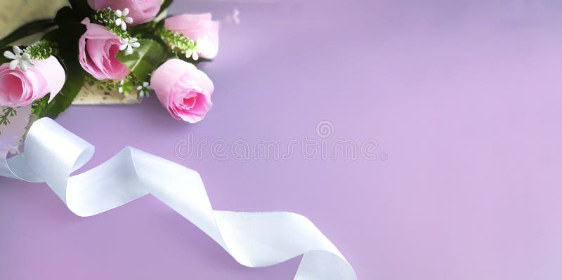 Het roze zijdelint, nam op lilac achtergrond toe stock afbeelding Het roze zijdelint, nam op lilac achtergrond toe stock afbeelding