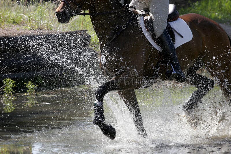 Equestrian Rider & Horse Splash Through A Water Obstacle During A Competition. Equestrian Rider & Horse Splash Through A Water Obstacle During A Competition.