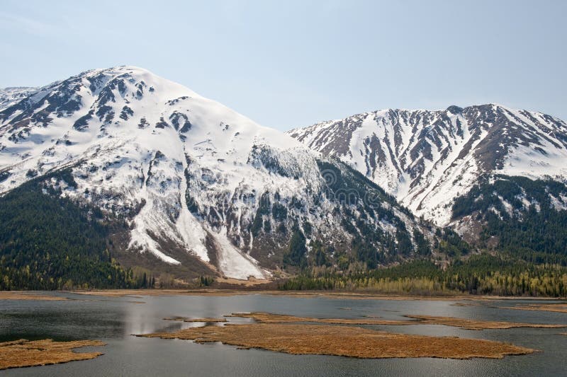 Het schiereiland van Kenai stock afbeeldingen Het schiereiland van Kenai stock afbeeldingen