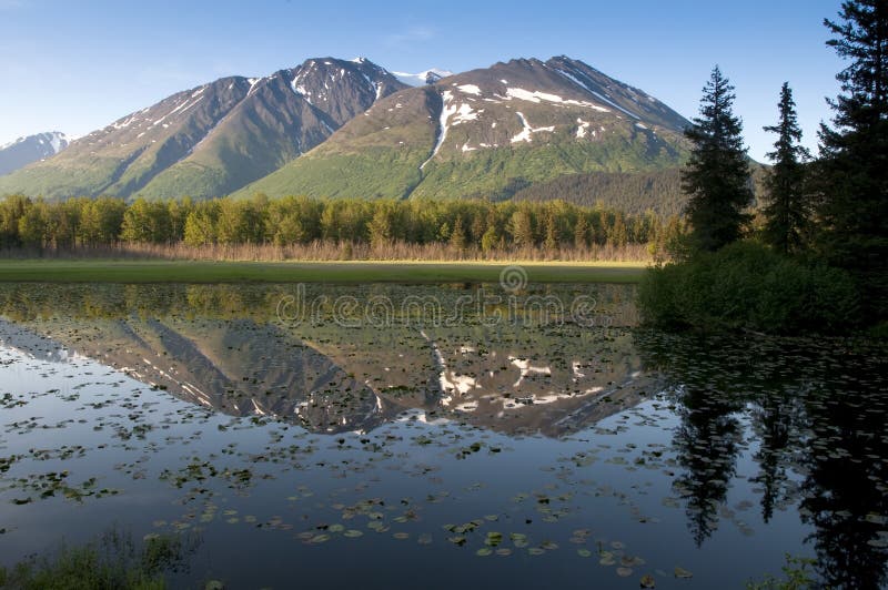 Het Schiereiland van Kenai in Alaska stock afbeeldingen Het Schiereiland van Kenai in Alaska stock afbeeldingen