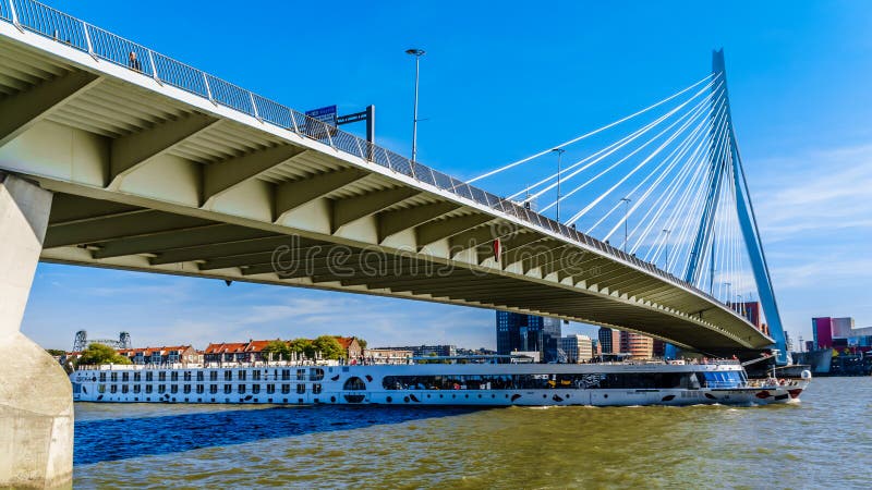 Het Schip die van de riviercruise onder modern kabel-Gebleven Erasmus Bridge over de Rivier van Nieuwe Maas in Rotterdam gaan stock afbeeldingen Het Schip die van de riviercruise onder modern kabel-Gebleven Erasmus Bridge over de Rivier van Nieuwe Maas in Rotterdam gaan stock afbeeldingen