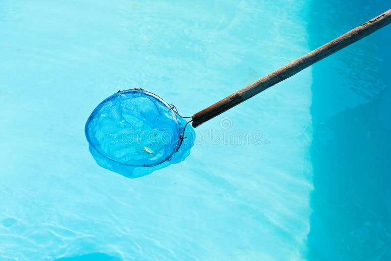 Het schoonmaken van openluchtpool door netto bladschuimspaan stock fotografie Het schoonmaken van openluchtpool door netto bladschuimspaan stock fotografie