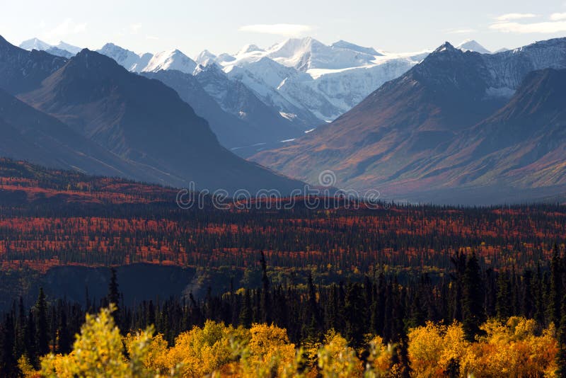 Het Seizoen van Autumn Color Alaska Wilderness Winter van de Denaliwaaier royalty-vrije stock afbeeldingen Het Seizoen van Autumn Color Alaska Wilderness Winter van de Denaliwaaier royalty-vrije stock afbeeldingen