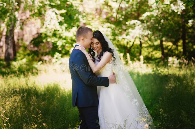 Het sensuele portret van de bruid en de bruidegom omhelzen, liefde, familie, huwelijk, verhoudingen, levensstijl stock foto Het sensuele portret van de bruid en de bruidegom omhelzen, liefde, familie, huwelijk, verhoudingen, levensstijl stock foto