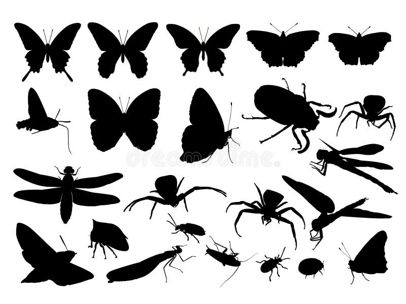 Black insect silhouette, vector illustration. Black insect silhouette, vector illustration