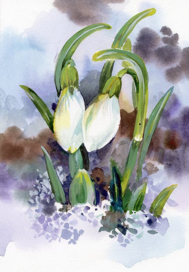 Het sneeuwklokjebloemen van de lente met sneeuw in het bos vector illustratie Het sneeuwklokjebloemen van de lente met sneeuw in het bos vector illustratie