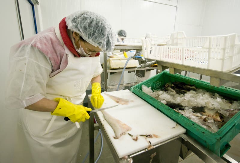 Het snijden van de vrouw vissen in fabriek stock foto's Het snijden van de vrouw vissen in fabriek stock foto's