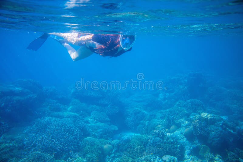 Het snorkelen meisje in volledig-gezichts snorkelend masker en vinnen Vrouw het zwemmen royalty-vrije stock fotografie Het snorkelen meisje in volledig-gezichts snorkelend masker en vinnen Vrouw het zwemmen royalty-vrije stock fotografie