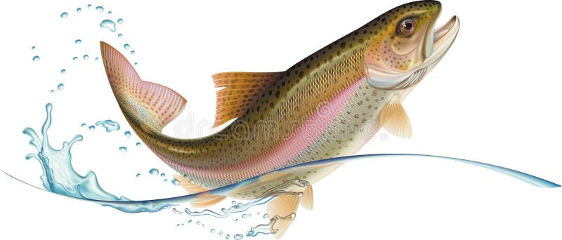 Het springen forel royalty-vrije illustratie Het springen forel royalty-vrije illustratie