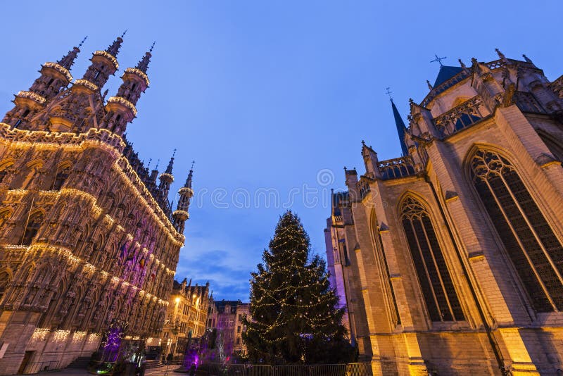 Het Stadhuis van Leuven op Grote Markt royalty-vrije stock foto's Het Stadhuis van Leuven op Grote Markt royalty-vrije stock foto's