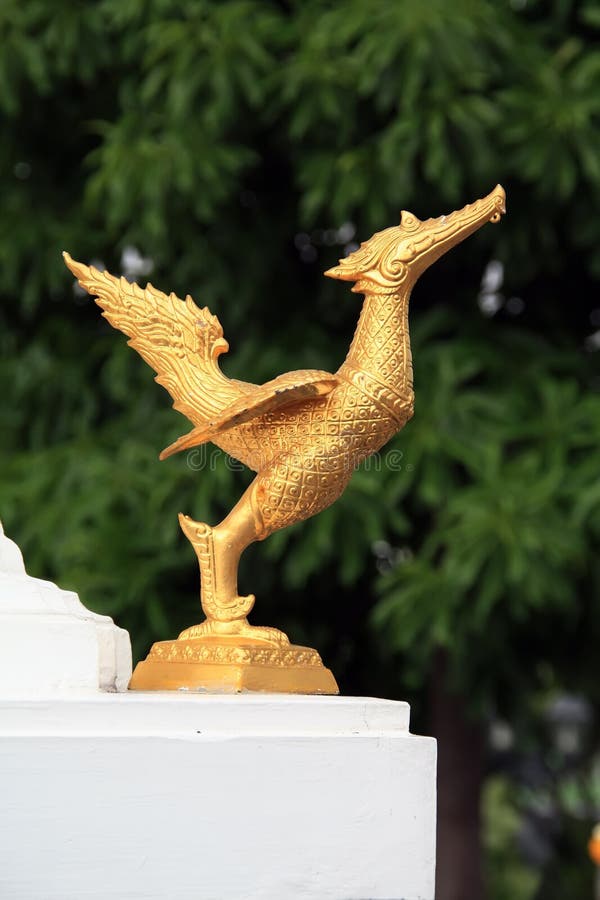 Vogelbeeld stock afbeelding